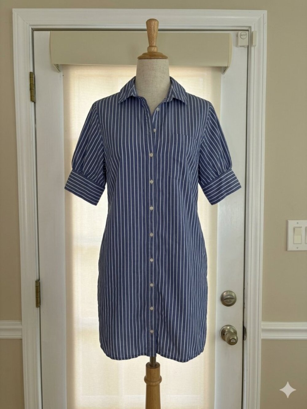 Blue Striped Button Down Dress